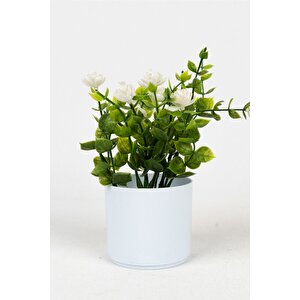Beyaz Mini Saksıda Yapay Çiçek