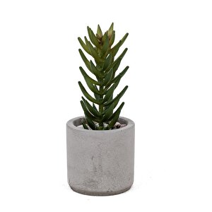Beton Saksıda Yapay 3'lü Kaktüs Seti Gri