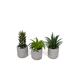 Beton Saksıda Yapay 3'lü Kaktüs Seti