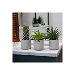 Beton Saksıda Yapay 3'lü Kaktüs Seti