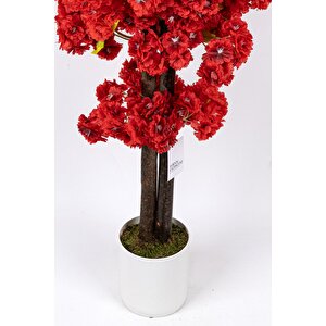 Çim Detaylı Beyaz Saksıda Kırmızı Renkli 100 Cm Yapay Salon Bitkisi Kırmızı