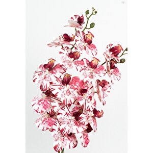 Beyaz Renkli Saksıda 2 Dallı Yapay Islak Orkide Beyaz-Pembe