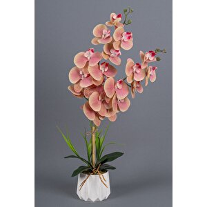Beyaz Renkli Saksıda 2 Dallı Yapay Islak Orkide Beyaz-Pembe