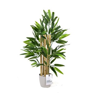 Taş Detaylı Saksıda 60 Cm Yapay Bambu Ağacı Beyaz