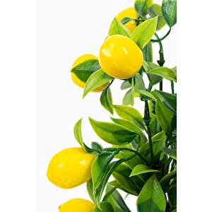 Beyaz Plastik Saksıda Bambu Gövdeli Yapay Mandalina Ağacı 25 Cm Limon