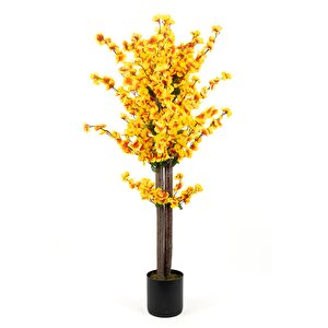 Siyah Saksıda Turuncu Sarı Renkli 120 Cm Japon Bahardalı Ağacı Sarı Turuncu