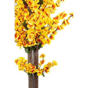 Siyah Saksıda Turuncu Sarı Renkli 120 Cm Japon Bahardalı Ağacı