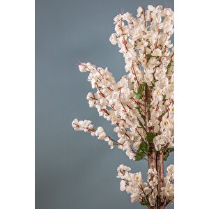 Mavi Pampas 16 Adet Beyaz