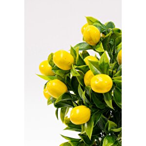 Siyah Saksıda Yapay Kiraz Ağacı Limon