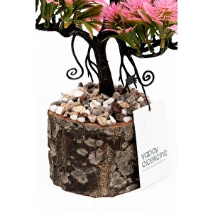 Taş Detaylı Odun Saksıda Yapay Bonsai Ağacı