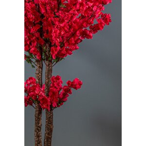 120 Cm Vişne Rengi Bahardalı Ağacı