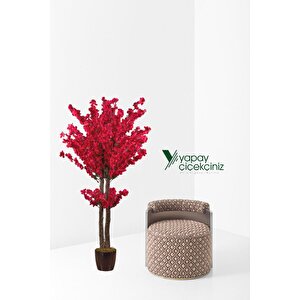 120 Cm Vişne Rengi Bahardalı Ağacı