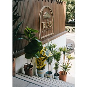 Dracaena Yapay Ağaç 3 Dallı 120 Cm
