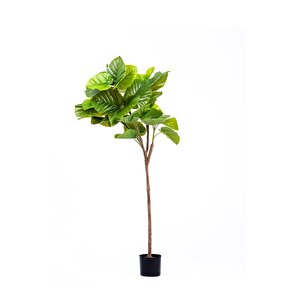 Ficus Umbellata Yapay Ağaç Yeşil 150 Cm