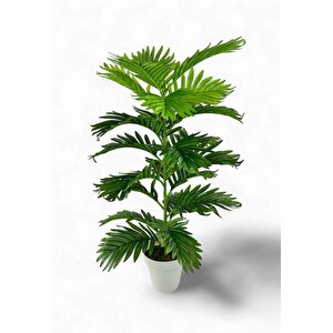 Yapay Çiçek Tropik Areka 80cm 23 Yapraklı Salon Çiçeği Beyaz Saksılı Yapay Bitki
