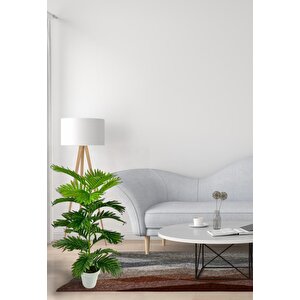 Yapay Çiçek Tropik Areka 80cm 23 Yapraklı Salon Çiçeği Beyaz Saksılı Yapay Bitki