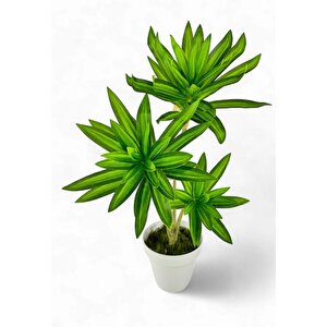 Yapay Çiçek Yeşil Yukka Ağacı 60cm 3dal Salon Çiçeği Beyaz Saksılı Yapay Bitki