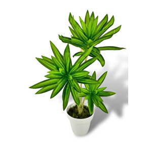 Yapay Çiçek Yeşil Yukka Ağacı 60cm 3dal Salon Çiçeği Beyaz Saksılı Yapay Bitki