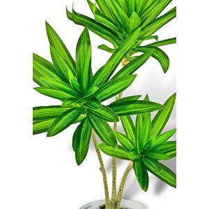 Yapay Çiçek Yeşil Yukka Ağacı 60cm 3dal Salon Çiçeği Beyaz Saksılı Yapay Bitki