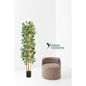 Yapay Yoğun Yapraklı Dekoratif Bambu Ağacı 3 Gövde 150cm
