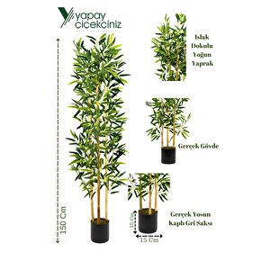 Yapay Yoğun Yapraklı Dekoratif Bambu Ağacı 3 Gövde 150cm