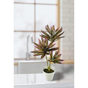 Yapay Çiçek Pembe Yukka Ağacı 60cm 3dal Salon Çiçeği Beyaz Saksılı Yapay Bitki