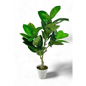Yapay Çiçek Kauçuk Ağacı 85cm Salon Çiçeği Beyaz Saksılı Yapay Bitki
