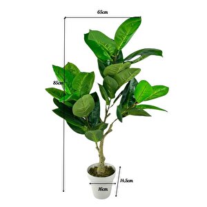 Yapay Çiçek Kauçuk Ağacı 85cm Salon Çiçeği Beyaz Saksılı Yapay Bitki