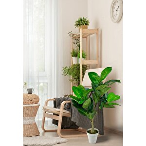 Yapay Çiçek Kauçuk Ağacı 85cm Salon Çiçeği Beyaz Saksılı Yapay Bitki