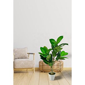 Yapay Çiçek Kauçuk Ağacı 85cm Salon Çiçeği Beyaz Saksılı Yapay Bitki
