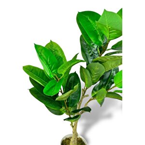 Yapay Çiçek Kauçuk Ağacı 85cm Salon Çiçeği Beyaz Saksılı Yapay Bitki