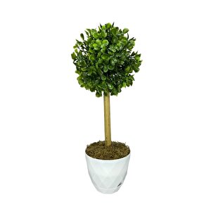 Yapay Ağaç Şimşir Top Tek Toplu 12x31cm Beyaz Saksıda