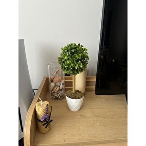 Yapay Ağaç Şimşir Top Tek Toplu 12x31cm Beyaz Saksıda