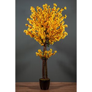 120 Cm Sarı Bahardalı Ağacı