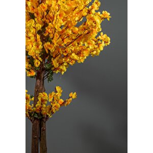 120 Cm Sarı Bahardalı Ağacı
