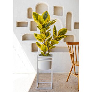 The Mia Ficus Altissima Yapay Ağaç Sarı Yeşil 120 Cm