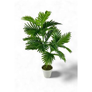 Yapay Çiçek Areka Palmiye Ağacı 85cm 2dal Salon Çiçeği Beyaz Saksılı Yapay Bitki