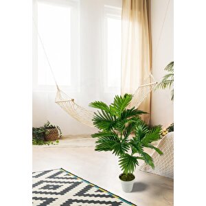 Yapay Çiçek Areka Palmiye Ağacı 85cm 2dal Salon Çiçeği Beyaz Saksılı Yapay Bitki