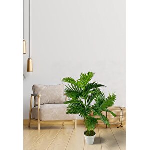 Yapay Çiçek Areka Palmiye Ağacı 85cm 2dal Salon Çiçeği Beyaz Saksılı Yapay Bitki