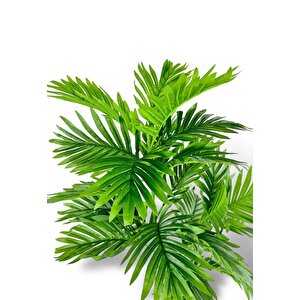 Yapay Çiçek Areka Palmiye Ağacı 85cm 2dal Salon Çiçeği Beyaz Saksılı Yapay Bitki
