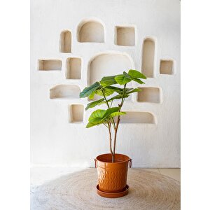 Ficus Umbellata Yapay Ağaç Yeşil 120 Cm