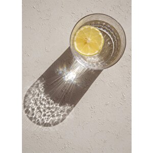 The Mia Steamy Su Bardağı 330 Ml