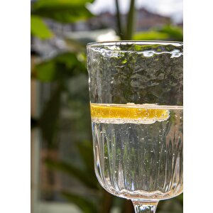 Steamy Şarap Kadehi 340 Ml