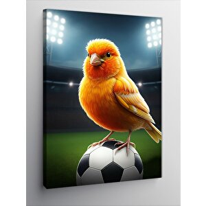 Kanvas Tablo Futbolcu Serçe 50x70 cm