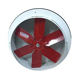 25 Cm Kapaklı Cam Ve Duvar Aspiratörü 780 M³/h 1400 Rpm
