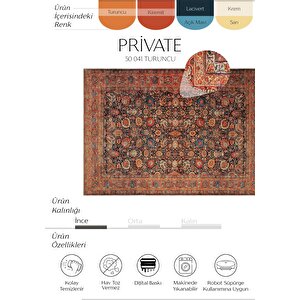 Cool Halı Private Renkli Eskitme Halı Yolluk Dijital Baskı Halı Çiçekli Otantik Halı salon halısı