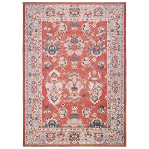 Private Kırmızı Eskitme Halı Etnik Desenli Otantik Şönil Halı Yıkanabilir Salon Halısı 75x230 cm