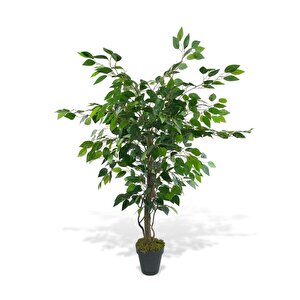 Yapay Ağaç Benjamin Yeşil Salex Dallı 110*70cm Siyah Plastik Saksılı