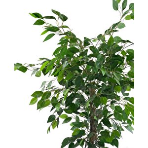 Yapay Ağaç Benjamin Yeşil Salex Dallı 110*70cm Siyah Plastik Saksılı