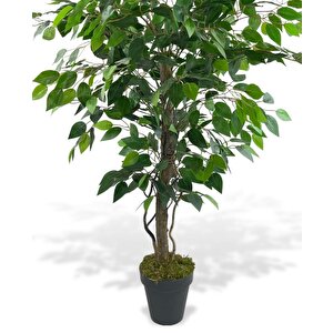 Yapay Ağaç Benjamin Yeşil Salex Dallı 110*70cm Siyah Plastik Saksılı